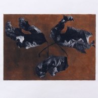 Three Leaves