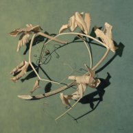 Crown of Leaves