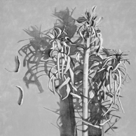 Almost Hidden Shadow