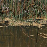 Dark-Reflections-30x40