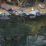 Dark Reflections