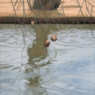 Lively Reflection