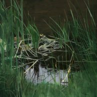 Madison-River-36x36-2