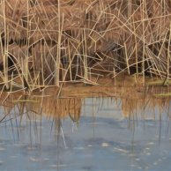 Mirrored-Reeds-30x40