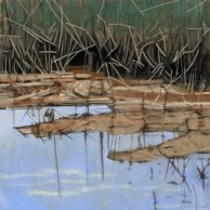 Ponds-Edge-30x30