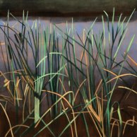 Reaching-Reeds-30x30