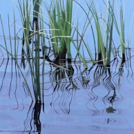 Reed Rapsody