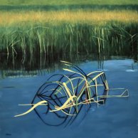 Reed-Rhythm-40x40