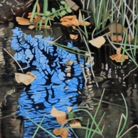Water Design