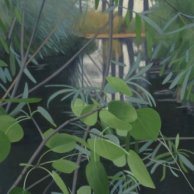 Reflections