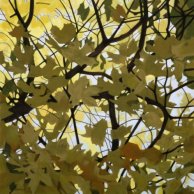 Shadowy Leaves