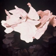 Dancing Leaves