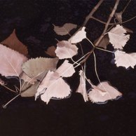 Glistening Branch