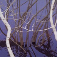 Aspen Tangles