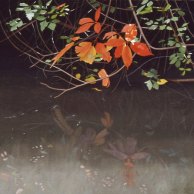 Soft Reflections